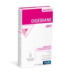 Pileje Digebiane sBO 20 comprimés 